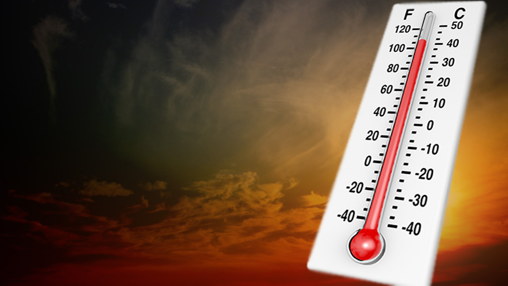 ΠΟΘΑ: Να γίνουν έλεγχοι – Δεν εφαρμόζονται οι συστάσεις για αποφυγή της θερμικής καταπόνησης