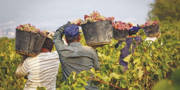 Έκτακτη σύσκεψη στην Περιφέρεια για την αμπελουργία της Κρήτης