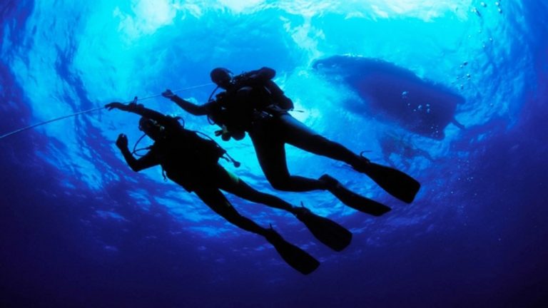 Χανιά: Σύλληψη 36χρονου για παράνομες καταδύσεις αναψυχής