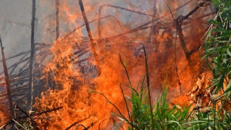41 δασικές πυρκαγιές από χθες – Ο Χάρτης πρόβλεψης- Βοριάδες και σήμερα