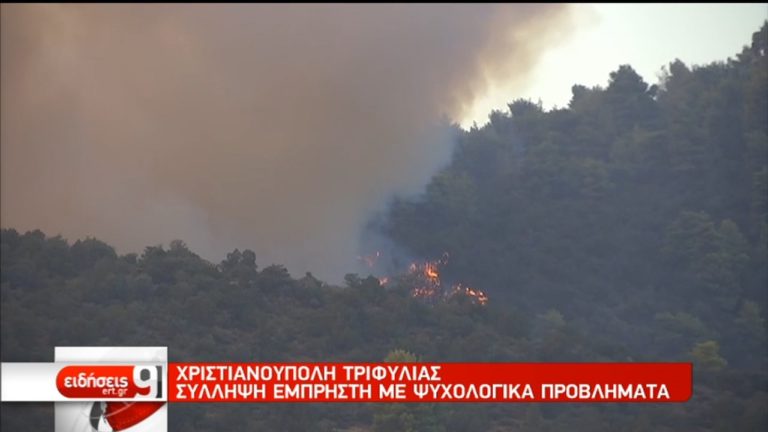 Μάχη σε 44 μέτωπα το τελευταίο 24ωρο- Υψηλός κίνδυνος πυρκαγιάς  (video)
