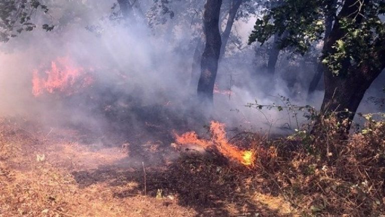 Κέρκυρα: Υπό έλεγχο η φωτιά στον Ίσσο (up)