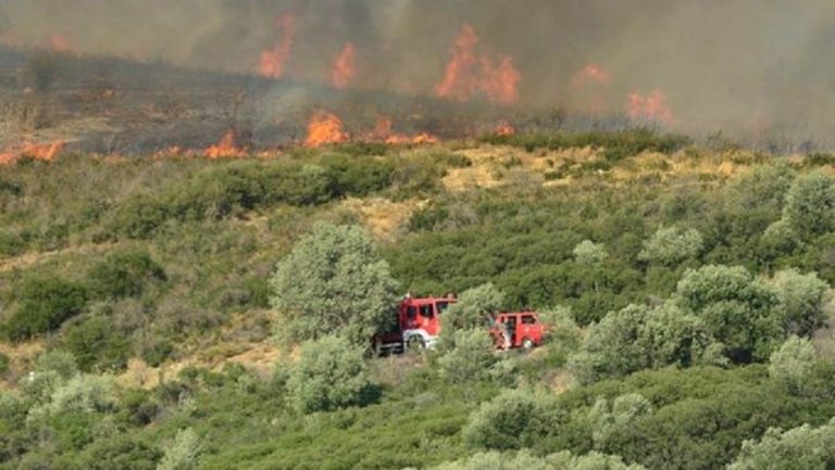 Πρέσπες: Έσβησε η φωτιά στο Βροντερο