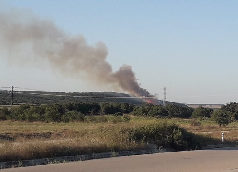 Υπό έλεγχο η φωτιά στην Καβησό, κάηκαν 110 στρέμματα