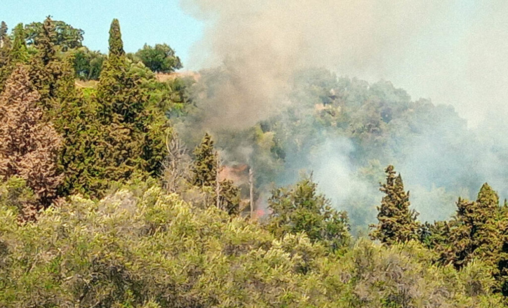 Κέρκυρα: Φωτιά σε δασώδη περιοχή στους Καλαφατιώνες, δεν απειλούνται σπίτια