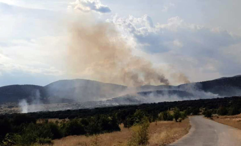 Πυρκαγιές σε Κοζάνη και σε Κερατσίνι