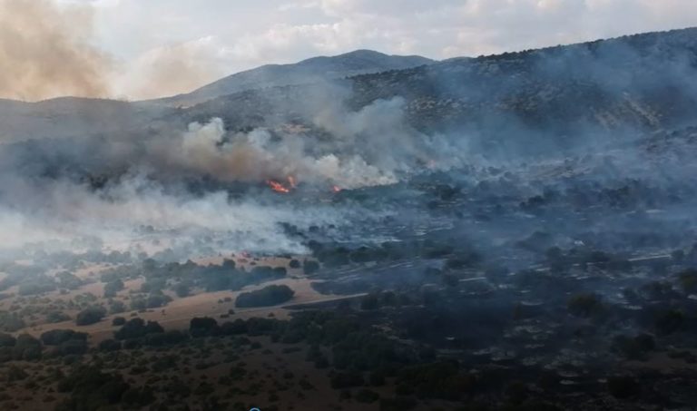 Κοζάνη: Μεγάλη φωτιά στην Τοπική Κοινότητα Λευκάρων
