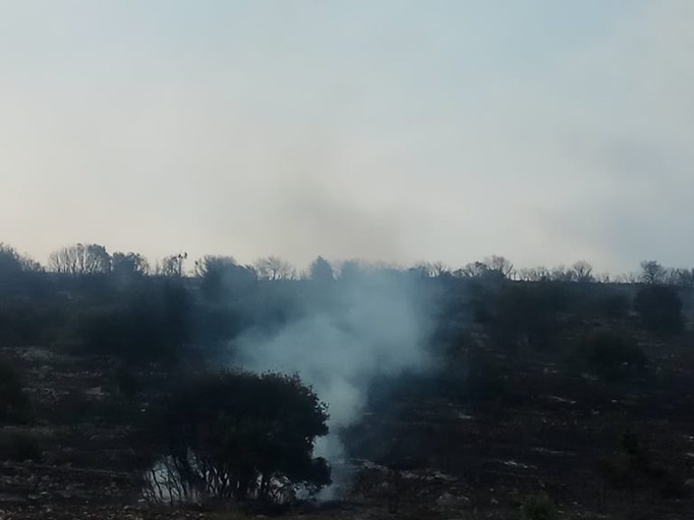 ΚΟΖΑΝΗ: Υπό έλεγχο η φωτιά στα Λεύκαρα- παραμένουν οι Πυροσβεστικές Δυνάμεις