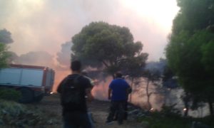 Ζάκυνθος: Χωρίς ενεργό μέτωπο η μεγάλη πυρκαγιά σε Κερί – Αγαλά