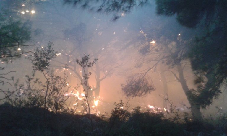 Ζάκυνθος: Χωρίς ενεργό μέτωπο η μεγάλη πυρκαγιά σε Κερί – Αγαλά