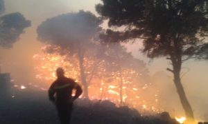 Ζάκυνθος: Χωρίς ενεργό μέτωπο η μεγάλη πυρκαγιά σε Κερί – Αγαλά