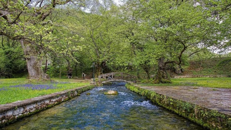 Παρέμβαση στην…πηγή!