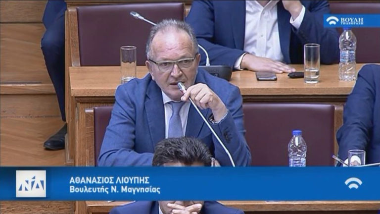Ο Αθ. Λιούπης στη Διαρκή Επιτροπή Κοινωνικών Θεμάτων