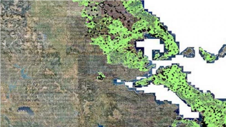 ΣτΕ: Χάνουν τις ιδιοκτησίες τους όσοι δεν κατέθεσαν αντίρρηση κατά του δασικού χάρτη