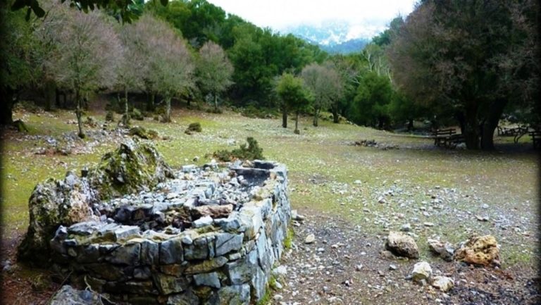 Ορειβατική συνάντηση στο δάσος του Ρούβα