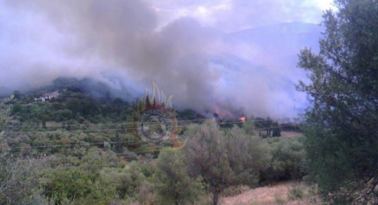 Ελέγχεται η πυρκαγιά στη Μάνδρα Αττικής – Χαμηλή βλάστηση καίει φωτιά στο Μαρκόπουλο