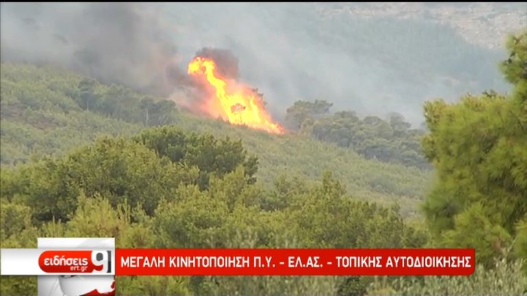 Εφιαλτικές μνήμες ξύπνησε η φωτιά στην Ν. Μάκρη – Εμπρησμό καταγγέλλουν οι κάτοικοι (video)