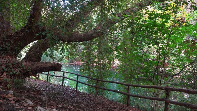 Ηράκλειο: Σε συναγερμό η Πυροσβεστική μετά από φωτιά σε φαράγγι