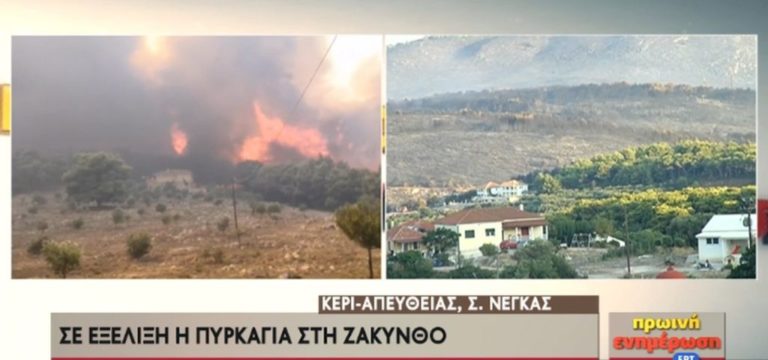 Δήμος Ζακύνθου: Δήλωση ζημιών από την πυρκαγιά σε Κερί – Αγαλά –Λιθακιά