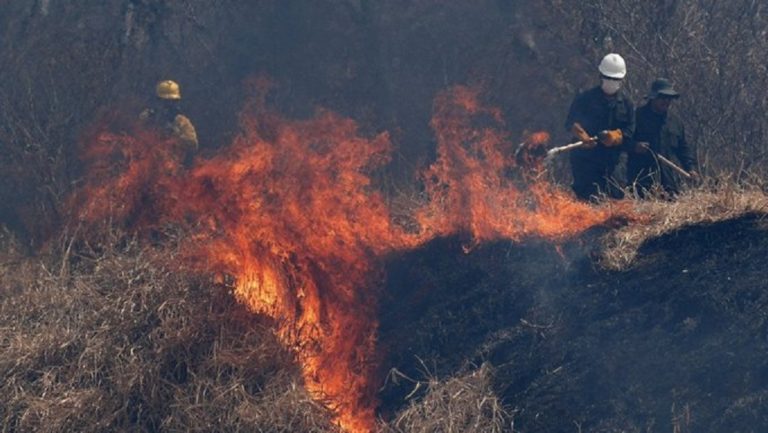 Απανθρακώθηκαν 2,3 εκατομμύρια  άγριων ζώων στον Αμαζόνιο της Βολιβίας