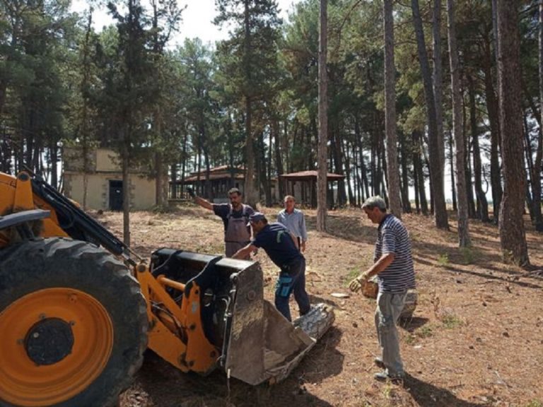 Αμύνταιο: Καθαρισμός στην περιοχή πευκάκια