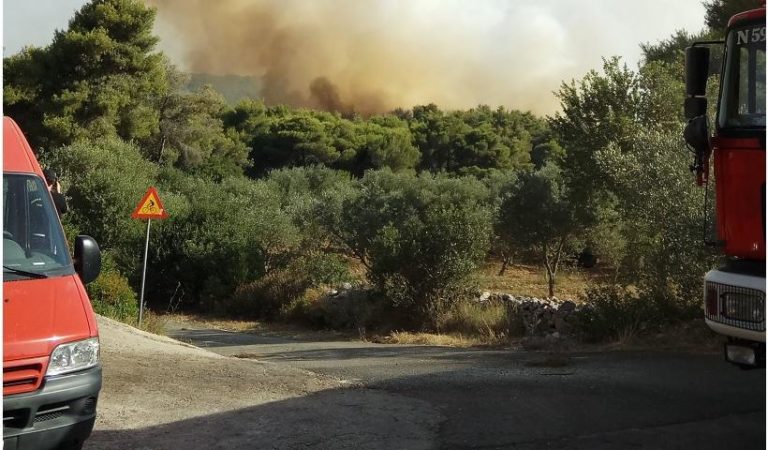 Φωτιά από κεραυνό στο δάσος της Στροφυλιάς