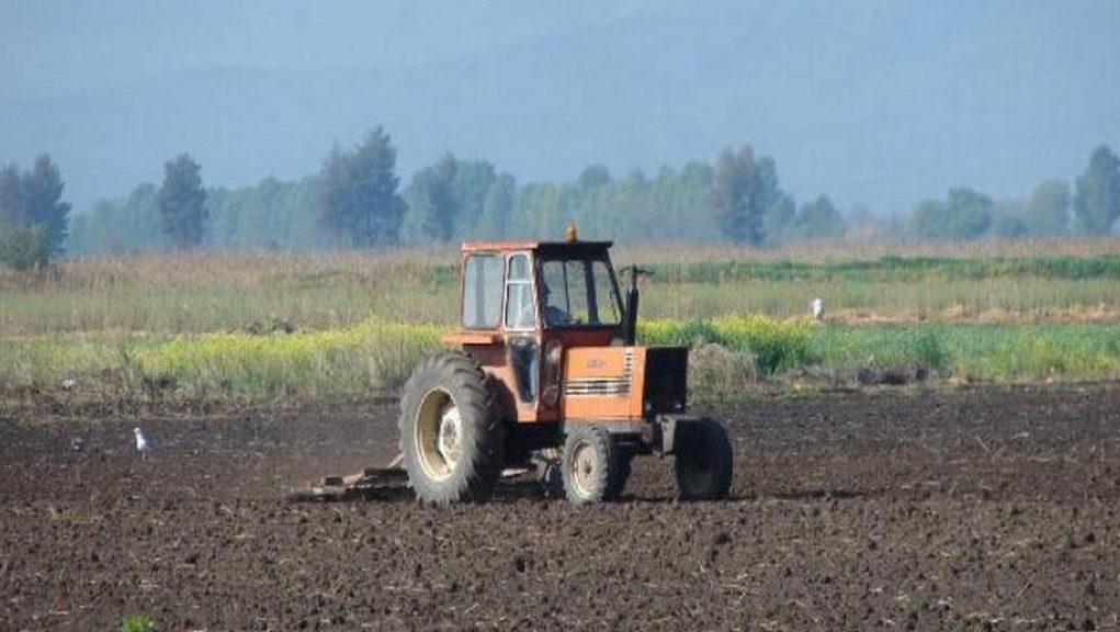 Εγκρίθηκε η  πληρωμή της συνδεδεμένης ενίσχυσης προς τους καλλιεργητές βιομηχανικής τομάτας