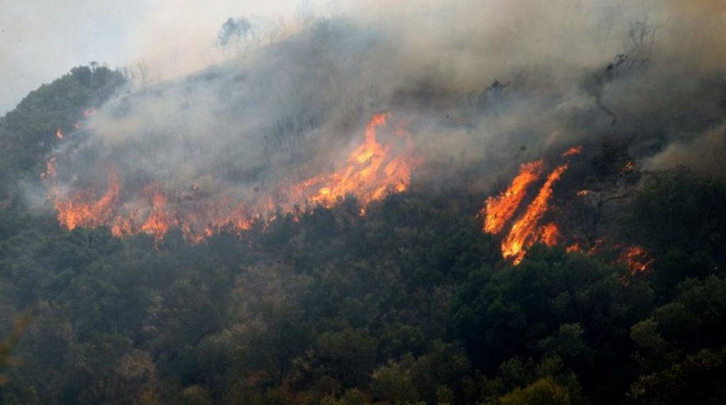 Λακωνία : Δασική έκταση κάηκε απο  πυρκαγιά στον Ταύγετο