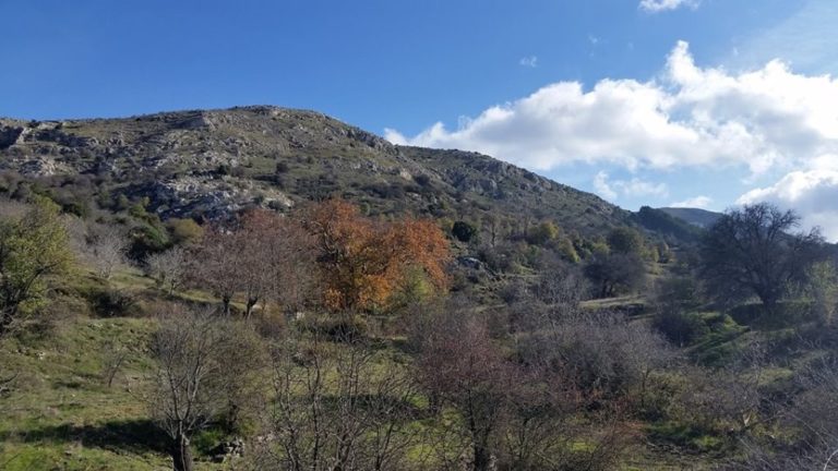 Εξόρμηση στον Πάρνωνα από ΕΟΣ Τρίπολης και Σπάρτης