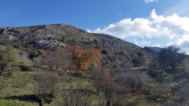 Εξόρμηση στον Πάρνωνα από ΕΟΣ Τρίπολης και Σπάρτης