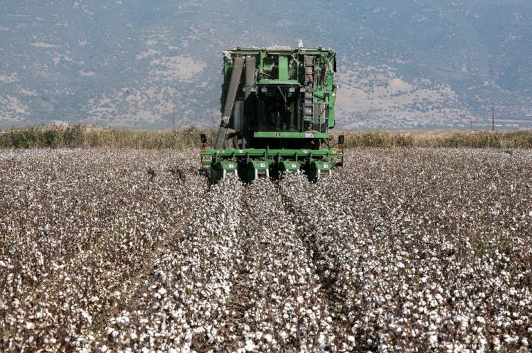 Πιστώνεται σήμερα στους αγρότες το 70% της βασικής ενίσχυσης για το 2019