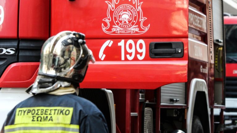Φωτιά σε στύλο της ΔΕΗ στη Αγριά