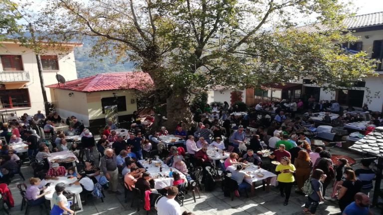 Πλήθος κόσμου στη γιορτή μανιταριού και βοτάνων στη Μακρυρράχη