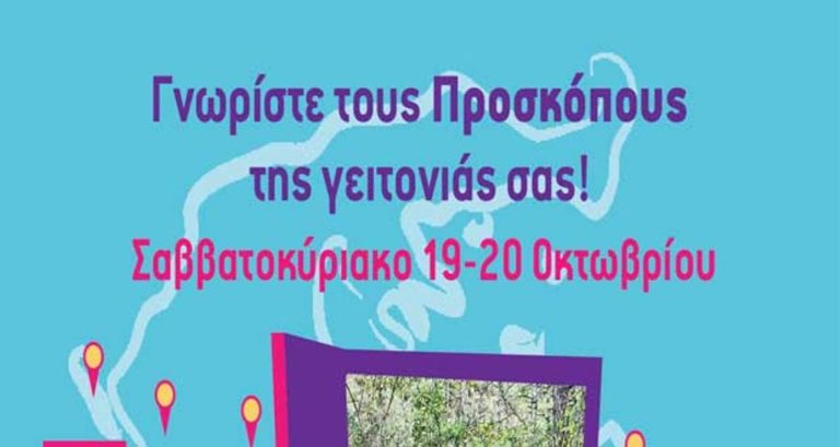 Κοζάνη: Προσκοπικό Open day