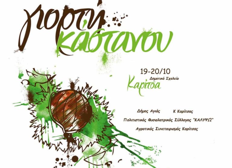 Γιορτή κάστανου στην Αγιά