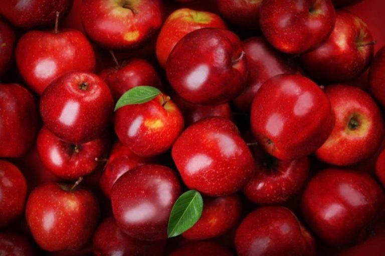 Εορδαία: Περιζήτητα τα «Κόκκινα μήλα» του Μηλοχωρίου