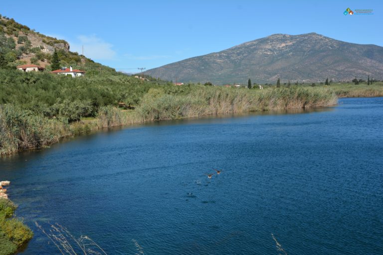 Ξενάγηση, ποδηλατάδα και εθελοντικός καθαρισμός στην περιοχή του υγροτόπου Μουστού Κυνουρίας