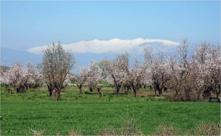 Παρουσιάζεται αρχαιολογικό έργο στη Λεκάνη του Συκουρίου και της Ελάτειας»