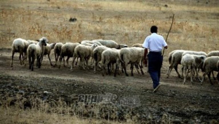 Μ. Βορίδης: 4 εκατ. ευρώ για αποζημιώσεις σε κτηνοτρόφους