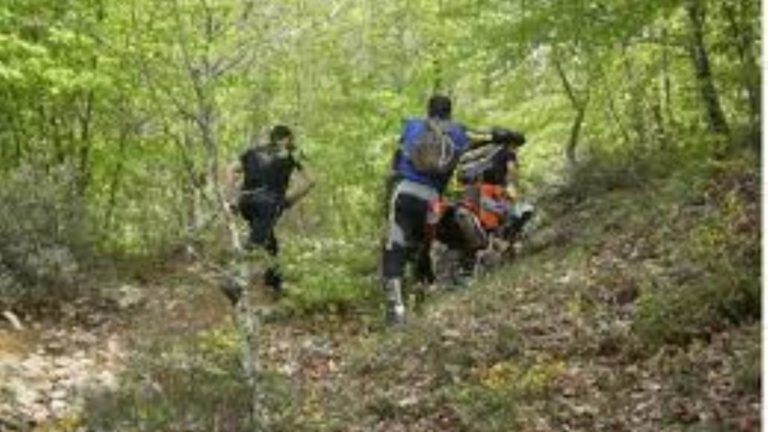 Χάθηκε για λίγο, αλλά γρήγορα επέστρεψε στους φίλους του
