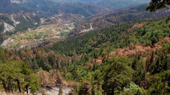 Λήγουν οι συμβάσεις των εργαζομένων στη δασοπροστασία – Στάση εργασίας την Τετάρτη