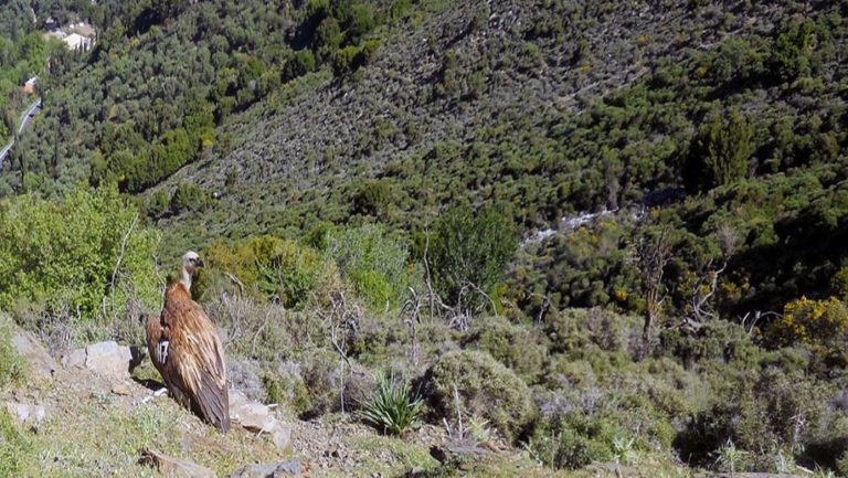 Ενημερωτική συνάντηση για το δίκτυο Natura 2000