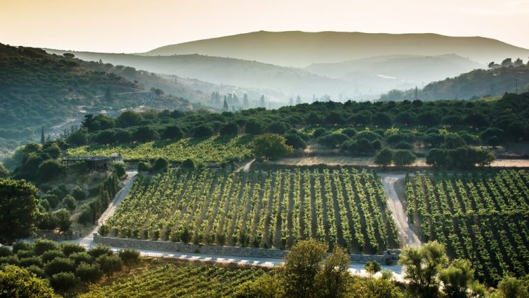 Ανάπτυξη μικρών αγροτικών εκμεταλλεύσεων