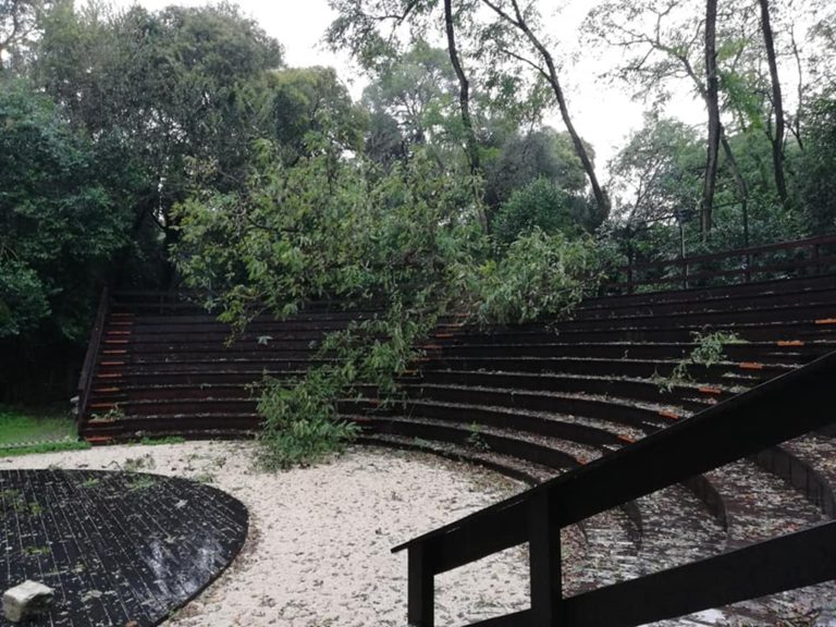 Κέρκυρα: Μικρές ζημιές από το δέντρο στο θέατρο στο Μον Ρεπό
