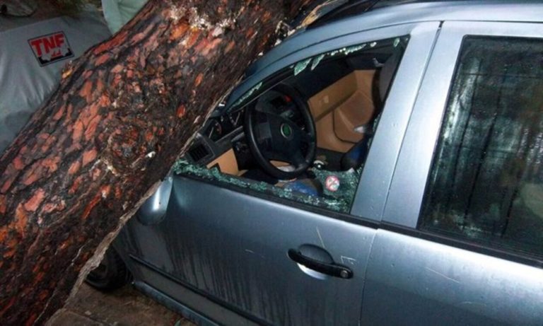 Ηλεία: Αυτοκίνητο εν κινήσει καταπλακώθηκε από δέντρο