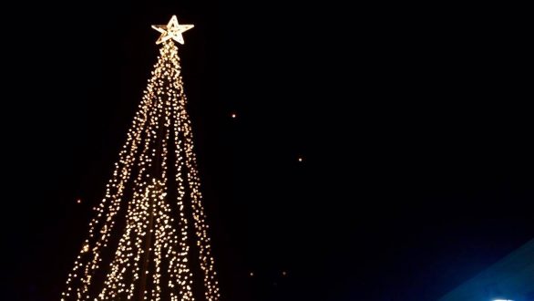 Στις 8 Δεκεμβρίου θα ανάψει το χριστουγεννιάτικο  δένδρο  ο Δήμος Ανατολικής Σάμου