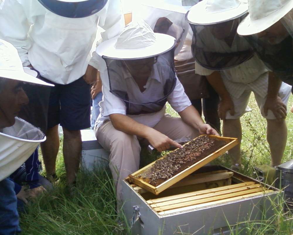 Λειτουργία Κέντρων Μελισσοκομίας ενέκρινε ο Υπουργός Αγροτικής Ανάπτυξης