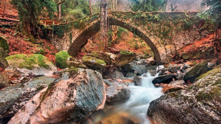 Βούλγαροι, Ρώσοι και Ρουμάνοι μεταξύ των επισκεπτών των Χριστουγέννων