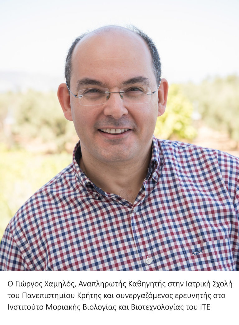 Κρήτη:Χρηματοδότηση για τον Ερευνητή του ΙΤΕ Δρ. Γιώργο Χαμηλό από το Ευρωπαϊκό Συμβούλιο Έρευνας (ERC)