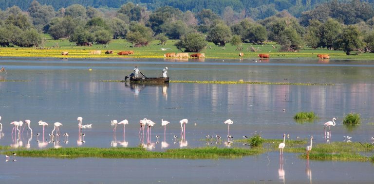 Σέρρες: Ενισχύεται ο Φορέας Διαχείρισης Λίμνης Κερκίνης